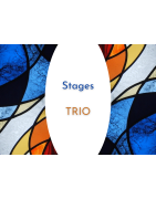 Stages Trio à l'atelier